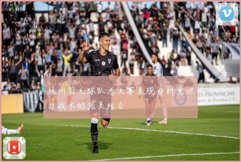 杭州羽毛球队总决赛表现分析意识与战术的完美结合