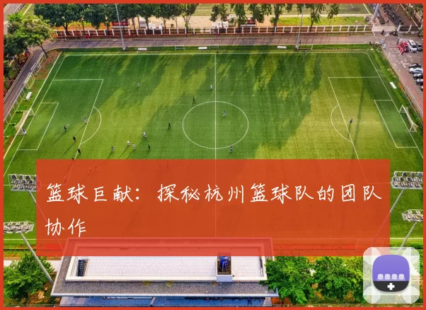 篮球巨献：探秘杭州篮球队的团队协作