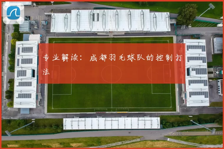 专业解读：成都羽毛球队的控制打法