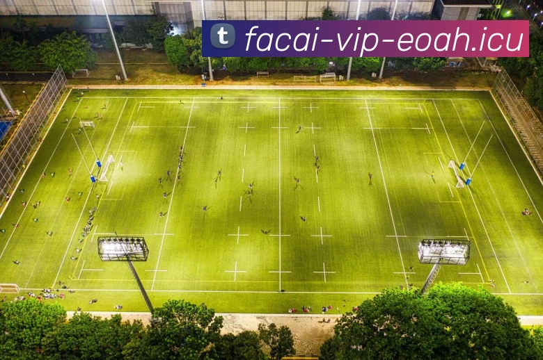 多媒体互动体验